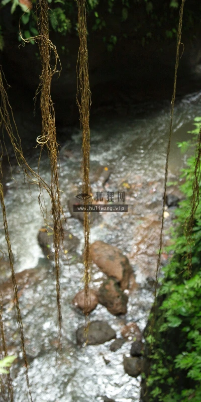 【22317】风景壁纸  4K 超清壁纸5120_3200@青蛙壁纸-笨猫小站