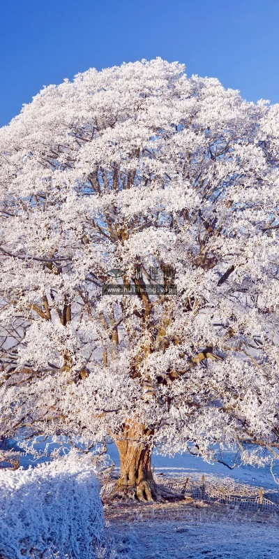 【22322】风景壁纸  4K 超清壁纸5120_3200@青蛙壁纸-笨猫小站