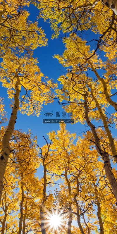 【22353】风景壁纸  4K 超清壁纸5120_2880@青蛙壁纸-笨猫小站
