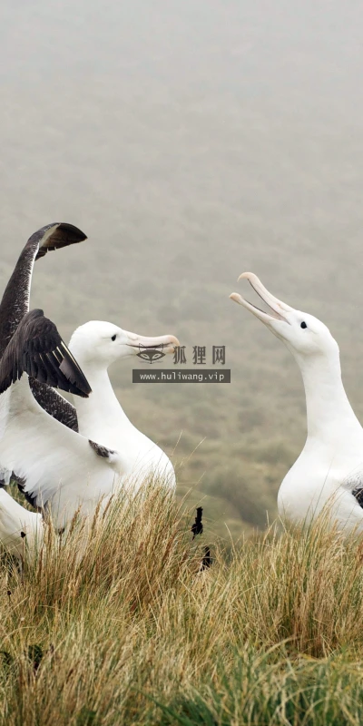 【22366】风景壁纸  4K 超清壁纸3840_2400@青蛙壁纸-笨猫小站