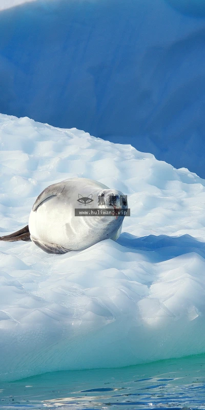 【22370】风景壁纸  4K 超清壁纸3840_2400@青蛙壁纸-笨猫小站