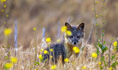 【22425】风景壁纸  4K 超清壁纸3840_2400@青蛙壁纸-笨猫小站