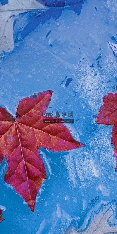 【22445】风景壁纸  4K 超清壁纸3840_2400@青蛙壁纸-笨猫小站