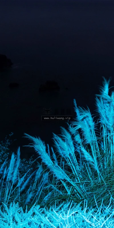 【22469】风景壁纸  4K 超清壁纸3840_2400@青蛙壁纸-笨猫小站