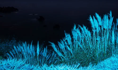 【22469】风景壁纸  4K 超清壁纸3840_2400@青蛙壁纸-笨猫小站