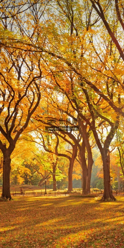 【22475】风景壁纸  4K 超清壁纸3840_2400@青蛙壁纸-笨猫小站