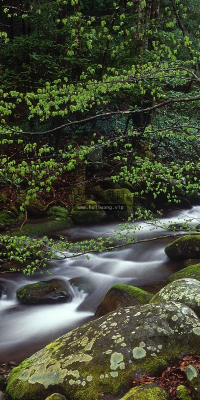 【22539】风景壁纸  4K 超清壁纸3840_2400@青蛙壁纸-笨猫小站