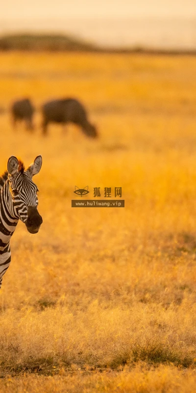 【22564】风景壁纸  4K 超清壁纸3840_2400@青蛙壁纸-笨猫小站