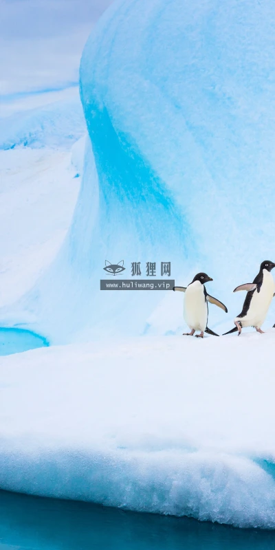 【22570】风景壁纸  4K 超清壁纸3840_2160@青蛙壁纸-笨猫小站