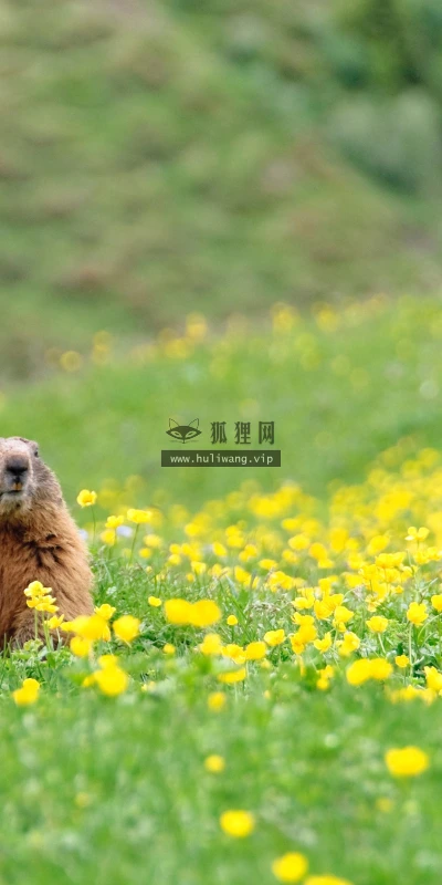 【22573】风景壁纸  4K 超清壁纸3840_2160@青蛙壁纸-笨猫小站