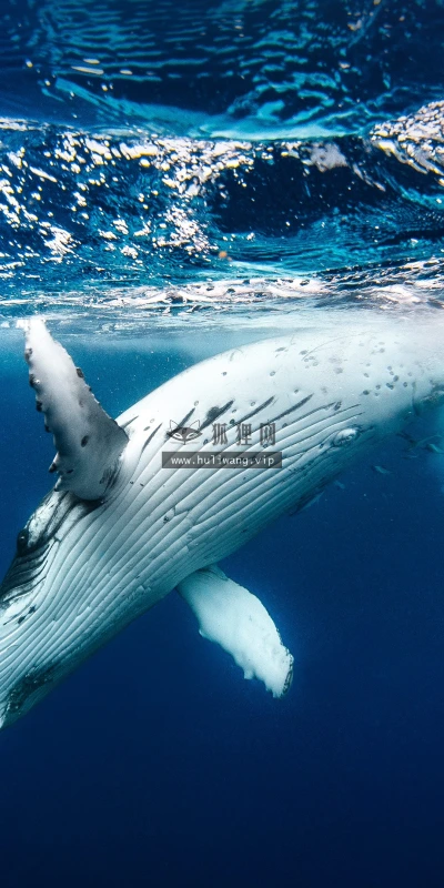 【22583】风景壁纸  4K 超清壁纸3840_2160@青蛙壁纸-笨猫小站