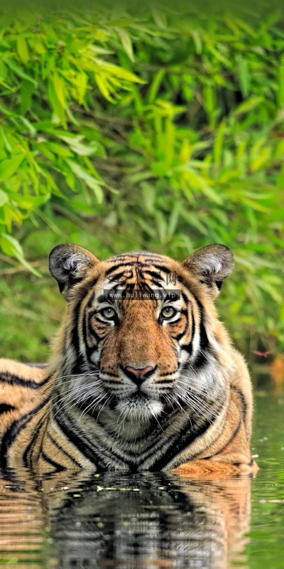 【22597】风景壁纸  4K 超清壁纸3840_2160@青蛙壁纸-笨猫小站