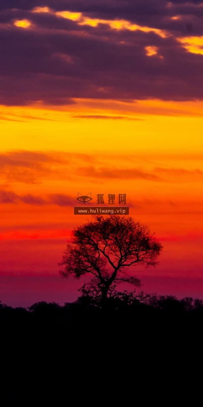 【22633】风景壁纸  4K 超清壁纸3840_2160@青蛙壁纸-笨猫小站
