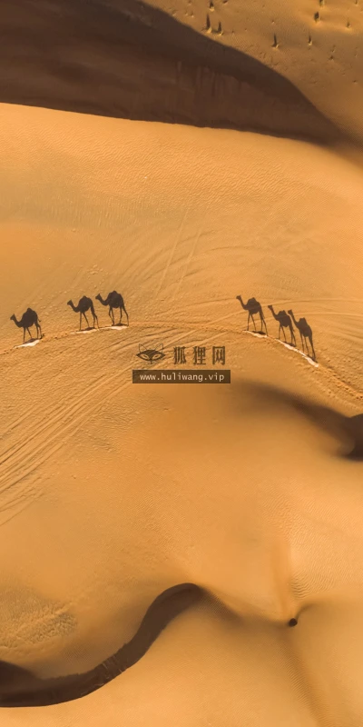 【22646】风景壁纸  4K 超清壁纸3840_2160@青蛙壁纸-笨猫小站