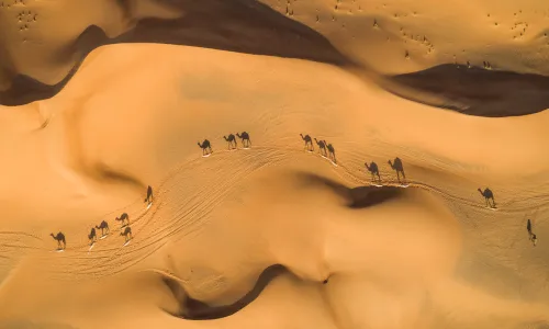 【22646】风景壁纸  4K 超清壁纸3840_2160@青蛙壁纸-笨猫小站
