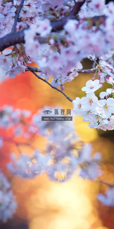 【22653】风景壁纸  4K 超清壁纸3840_2160@青蛙壁纸-笨猫小站
