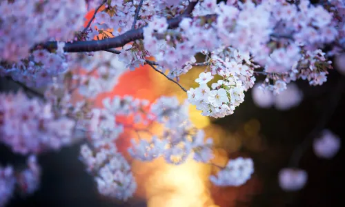 【22653】风景壁纸  4K 超清壁纸3840_2160@青蛙壁纸-笨猫小站