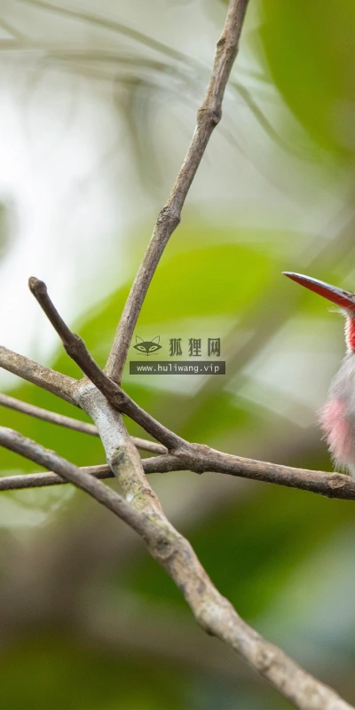 【22688】风景壁纸  4K 超清壁纸3840_2160@青蛙壁纸-笨猫小站