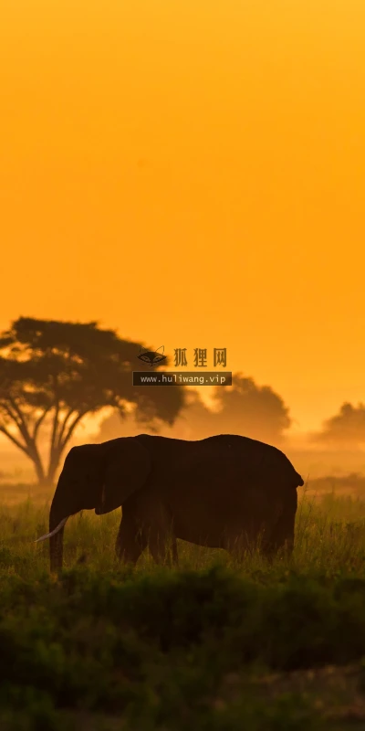 【22693】风景壁纸  4K 超清壁纸3840_2160@青蛙壁纸-笨猫小站