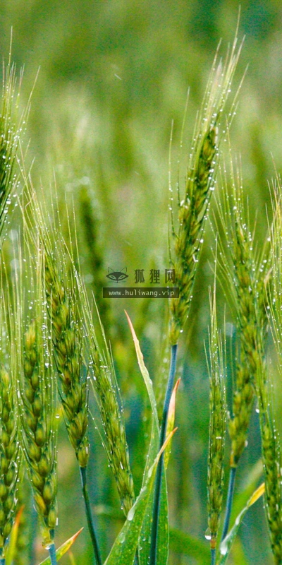 【22696】风景壁纸  4K 超清壁纸3840_2160@青蛙壁纸-笨猫小站