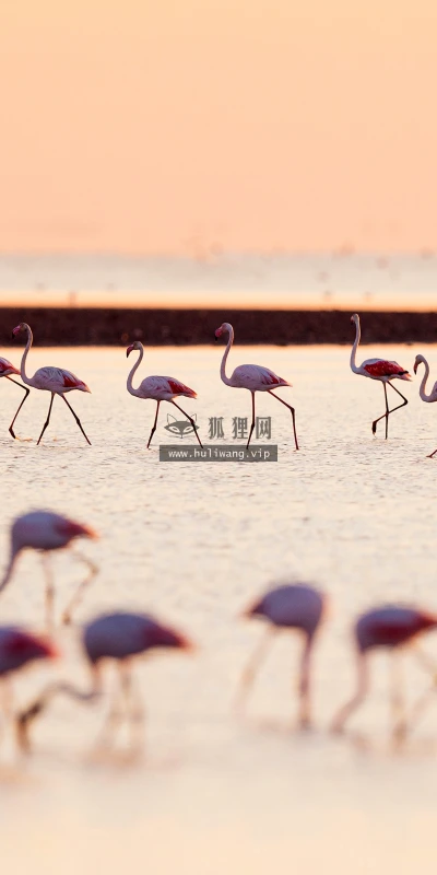 【22716】风景壁纸  4K 超清壁纸3840_2160@青蛙壁纸-笨猫小站
