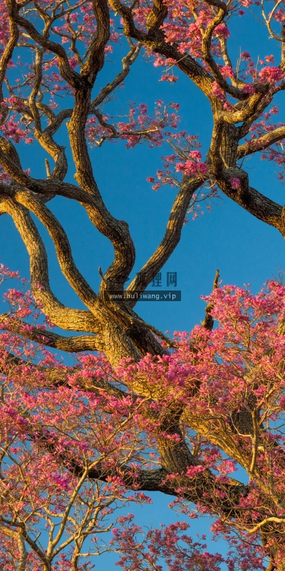 【22718】风景壁纸  4K 超清壁纸3840_2160@青蛙壁纸-笨猫小站