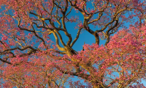 【22718】风景壁纸  4K 超清壁纸3840_2160@青蛙壁纸-笨猫小站