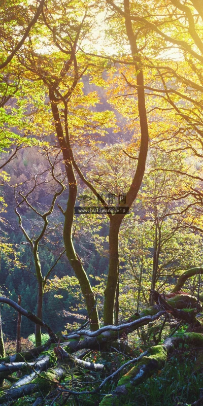 【22748】风景壁纸  4K 超清壁纸3840_2160@青蛙壁纸-笨猫小站