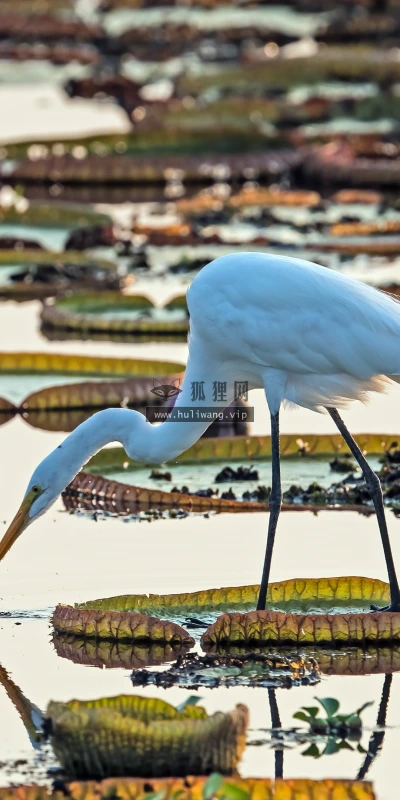 【22751】风景壁纸  4K 超清壁纸3840_2160@青蛙壁纸-笨猫小站
