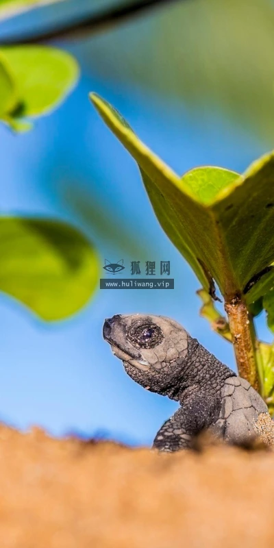 【22753】风景壁纸  4K 超清壁纸3840_2160@青蛙壁纸-笨猫小站