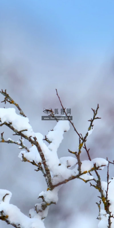 【22759】风景壁纸  4K 超清壁纸3840_2160@青蛙壁纸-笨猫小站