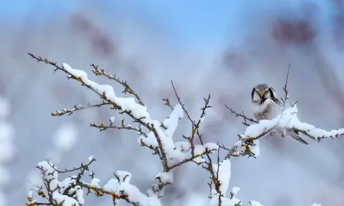 【22759】风景壁纸  4K 超清壁纸3840_2160@青蛙壁纸-笨猫小站