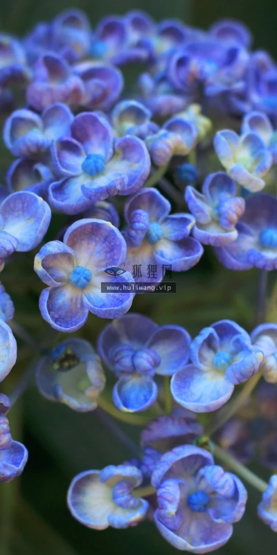 【22764】风景壁纸  4K 超清壁纸3840_2160@青蛙壁纸-笨猫小站