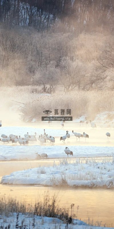 【22772】风景壁纸  4K 超清壁纸3840_2160@青蛙壁纸-笨猫小站
