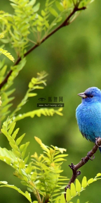 【22774】风景壁纸  4K 超清壁纸3840_2160@青蛙壁纸-笨猫小站