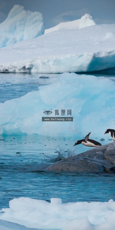 【22777】风景壁纸  4K 超清壁纸3840_2160@青蛙壁纸-笨猫小站