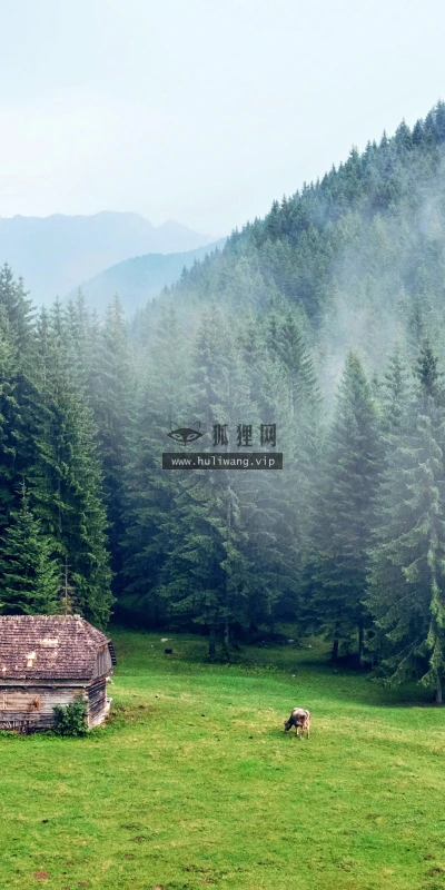 【22779】风景壁纸  4K 超清壁纸3840_2160@青蛙壁纸-笨猫小站