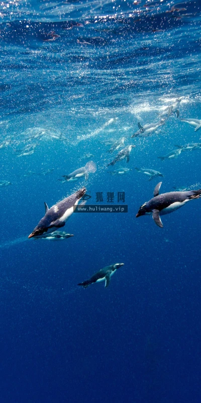 【22807】风景壁纸  4K 超清壁纸3840_2160@青蛙壁纸-笨猫小站