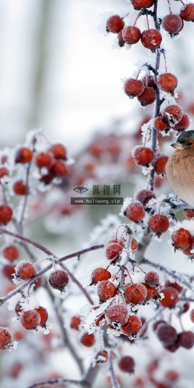 【22817】风景壁纸  4K 超清壁纸3840_2160@青蛙壁纸-笨猫小站