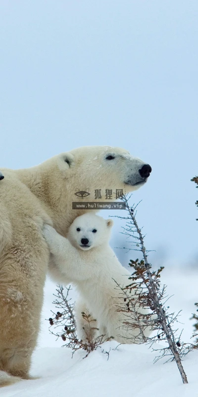 【22824】风景壁纸  4K 超清壁纸3840_2160@青蛙壁纸-笨猫小站