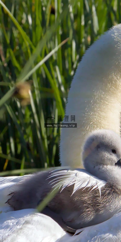 【22857】风景壁纸  4K 超清壁纸3840_2160@青蛙壁纸-笨猫小站