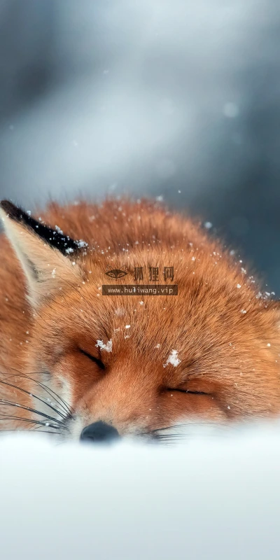 【22910】风景壁纸  4K 超清壁纸3840_2160@青蛙壁纸-笨猫小站