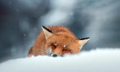 【22910】风景壁纸  4K 超清壁纸3840_2160@青蛙壁纸-笨猫小站