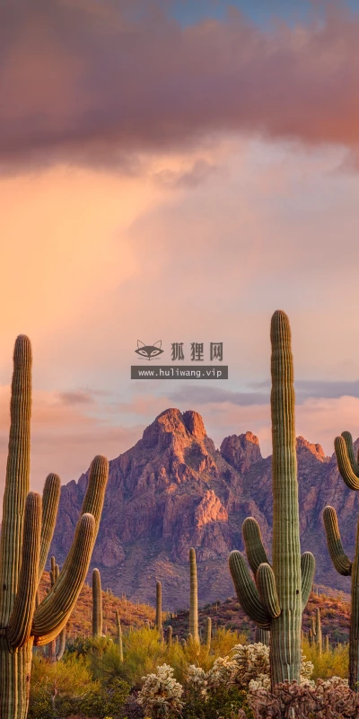 【22937】风景壁纸  4K 超清壁纸3840_2160@青蛙壁纸-笨猫小站