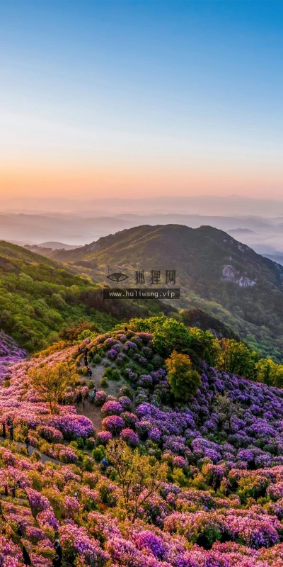 【22945】风景壁纸  4K 超清壁纸3840_2160@青蛙壁纸-笨猫小站