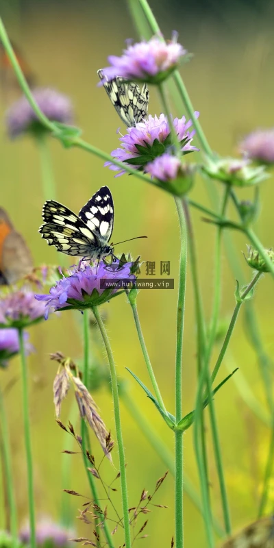 【22963】风景壁纸  4K 超清壁纸3840_2160@青蛙壁纸-笨猫小站