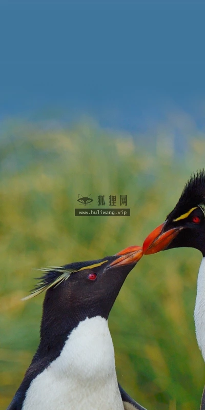 【22985】风景壁纸  4K 超清壁纸3840_2160@青蛙壁纸-笨猫小站