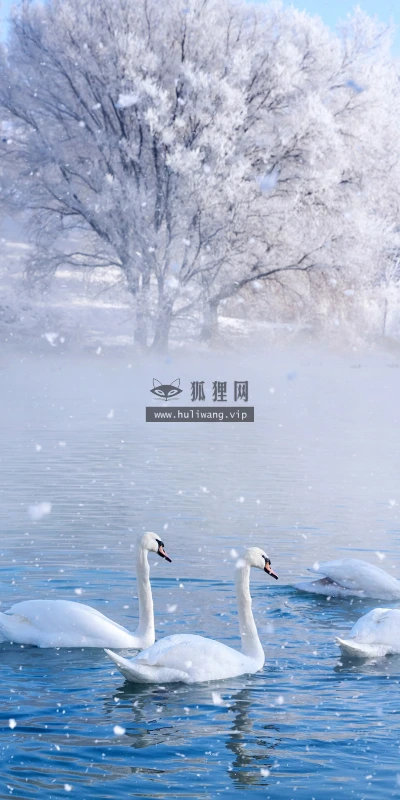 【23010】壁纸  4K 超清壁纸3840_2160@青蛙壁纸-笨猫小站