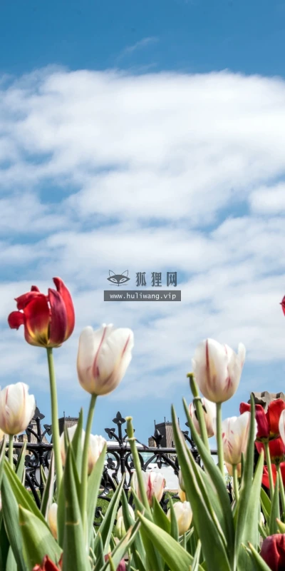 【23034】风景壁纸  4K 超清壁纸3840_2160@青蛙壁纸-笨猫小站