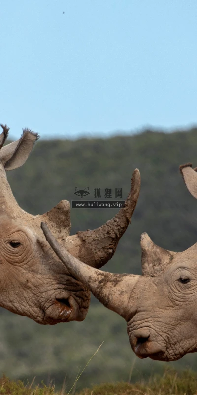 【23067】风景壁纸  4K 超清壁纸3840_2160@青蛙壁纸-笨猫小站